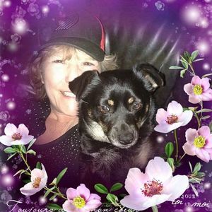 Meet your Posher, Patsy